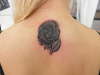 rose tattoo
