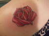 rose tattoo
