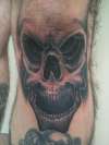 skull just done tattoo