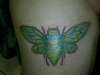 Cicada tattoo
