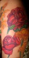 Latests addition to my sleeve.Red roses tattoo