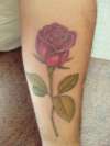 Realistic Long Stem Rose tattoo