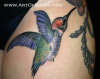 Sketched Hummingbird tattoo