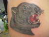 cover up tattoo