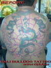dragon before tattoo