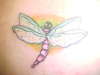 flying drag tattoo