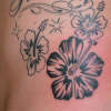 hipiscus tattoo