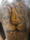 lion on shoulder tattoo