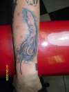 octopuss tattoo