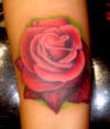 rose #2 tattoo
