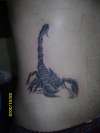 scorpion tattoo