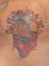 Anatomical Heart by Alison Gardiner Wizard Tattoos South London