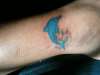 Dolfin tattoo