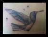 Humming bird tattoo