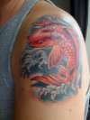 Koi tattoo tattoo