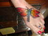 My dragonfly tatoo tattoo