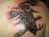 Night Owl tattoo