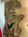 Tiger down side tattoo