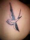 bird tattoo
