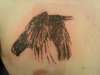 bird tattoo