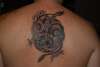 dragons tattoo