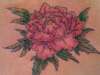 just  wanted some color tattoo