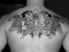 start of my back tattoo