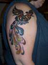 tribal pheonix tattoo