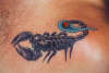Scorpion Tattoo tattoo