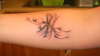 Vanessa's Dragonfly tattoo
