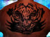 back        tiger tattoo