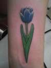 blue tulip tattoo