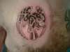 celtic raven tattoo