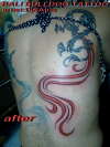 dragon after tuch up tattoo