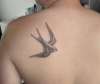 my swallow 1st tattoo