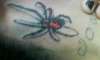spider tattoo