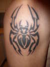 my spider tattoo