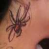spider tattoo