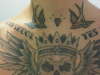 swallows tattoo