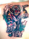 tiger tattoo