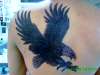 black grey Eagle on mens back tattoo