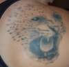 Jaguar tattoo