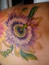 More work on my floral sleeve-passionflower tattoo
