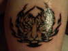 celtic tiger tattoo