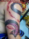 dragon tattoo