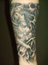 horse tattoo