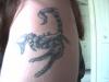 Scorpion tattoo