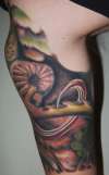 medicinal/poisonous plants-bicep tattoo