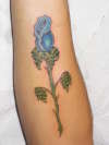 rosa azul tattoo