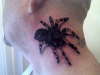 spider cover up tattoo
